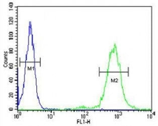 CD69 antibody flow cytometric analysis of HL-60 cells (right histogram) compared to a negative contr