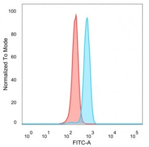 ZNF495 Antibody / ZSCAN5A