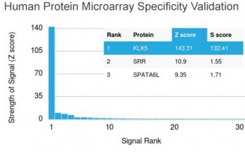Analysis of HuProt(TM) microarray containing more than 19,000 full-length human proteins using KLK5 