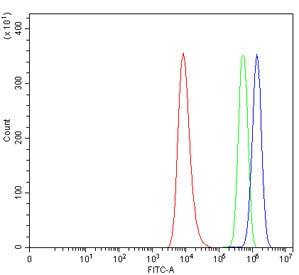 ABHD4 Antibody