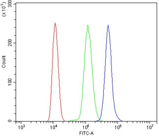 Mt-nd2 Antibody / NADH2