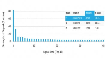 Analysis of HuProt(TM) microarray containing more than 19,000 full-length human proteins using HSD17