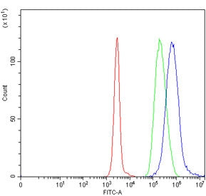 Flow cytometry testing of human Daudi cells with TIGD3 antibody at 1ug/million cells (blocked with g