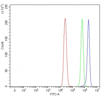 RNF212B Antibody / RING finger protein 212B