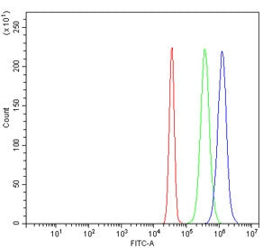 Flow cytometry testing of human SiHa cells with CENPH antibody at 1ug/million cells (blocked with go