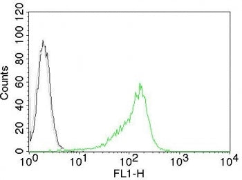 Human Nucleolar Antigen Antibody
