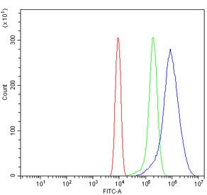 Flow cytometry testing of mouse ANA-1 cells with Hjurp antibody at 1ug/million cells (blocked with g