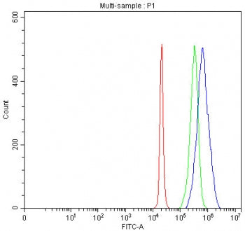 Flow cytometry testing of fixed and permeabilized human 293T cells with MAN1 antibody at 1ug/million