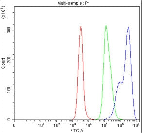 Flow cytometry testing of fixed and permeabilized human Daudi cells with NF-kB p65 antibody at 1ug/m
