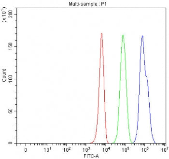 Flow cytometry testing of fixed and permeabilized human K562 cells with HDAC6 antibody at 1ug/millio