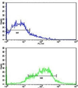 Flow cytometric analysis of HepG2 cells using EphA1 antibody (green) compared to a negative control 
