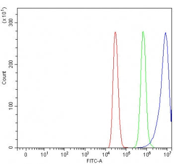 Flow cytometry testing of human MCF7 cells with IRBP antibody at 1ug/million cells (blocked with goa
