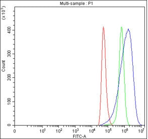 Flow cytometry testing of fixed and permeabilized human HeLa cells with LMO7DN antibody at 1ug/milli