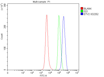 Flow Cytometry analysis of mouse RAW264.7 cells using anti-ETV2 antibody. Overlay histogram showing 