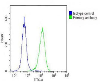 Flow cytometry testing of fixed and permeabilized human HeLa cells with DEPDC5 antibody; Blue=isotyp