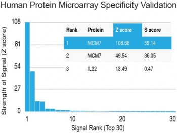 Protein array validation of the MCM7 antibody: Analysis of HuProt(TM) microarray containing more tha
