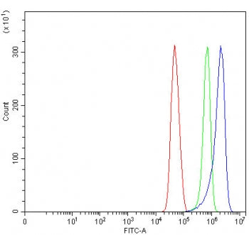 Sorting nexin 31 Antibody / SNX31