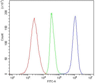 Flow cytometry testing of human Jurkat cells with ZAP70 antibody at 1ug/million cells (blocked with 