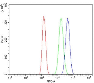 TRAF1 Antibody
