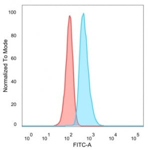 SOX10 Antibody