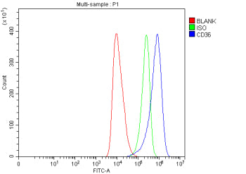 Flow Cytometry analysis of human HEL cells using anti-CD36 antibody. Overlay histogram showing HEL c