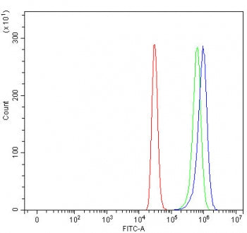 TTC39B Antibody / Tetratricopeptide repeat protein 39B / C9orf52