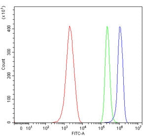Ppp1r15a Antibody / Gadd34