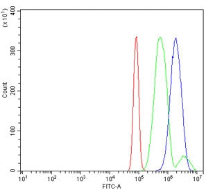 Flow cytometry testing of rat RH35 cells with Huntingtin interacting protein 2 antibody at 1ug/milli