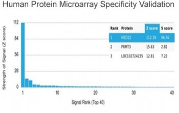 Analysis of HuProt(TM) microarray containing more than 19,000 full-length human proteins using MED22