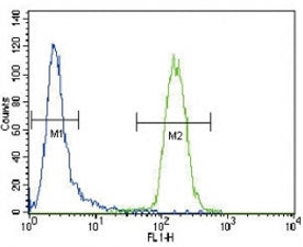 CD4 antibody flow cytometric analysis of CEM cells (right histogram) compared to a negative control 