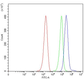Cd86 Antibody