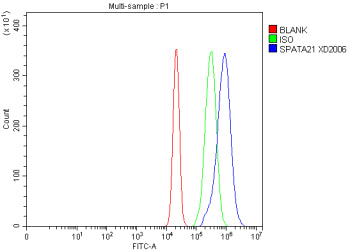 Flow Cytometry analysis of RT4 cells using anti-SPATA21 antibody. Overlay histogram showing RT4 cell