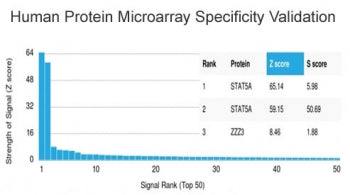 Analysis of HuProt(TM) microarray containing more than 19,000 full-length human proteins using STAT5