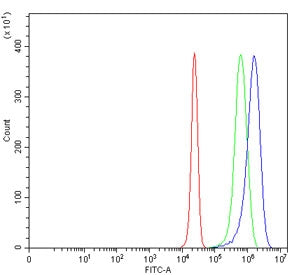 Desmoglein 3 Antibody / DSG3