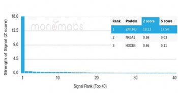 Analysis of a HuProt(TM) microarray containing more than 19,000 full-length human proteins using ZNF