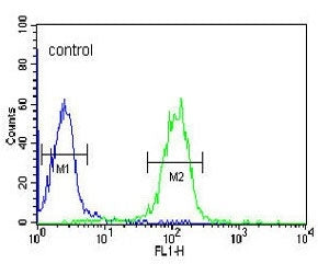 Flow cytometry testing of human HL60 cells with GZMB antibody; Blue=isotype control, Green= GZMB ant