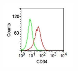 CD34 Antibody