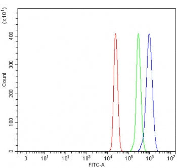 Flow cytometry testing of fixed and permeabilized human U937 cells with PIGV antibody at 1ug/million