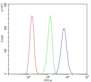 Flow cytometry testing of human A431 cells with SAE2 antibody at 1ug/million cells (blocked with goa