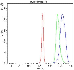 Flow cytometry testing of fixed and permeabilized human HepG2 cells with PIK3R4 antibody at 1ug/mill