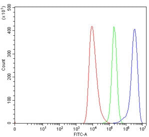 SERBP1 Antibody / PAI-RBP1