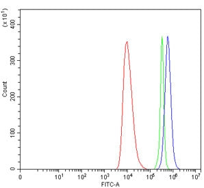 Flow cytometry testing of human HEL cells with Interleukin-1 receptor-like 1 antibody at 1ug/million