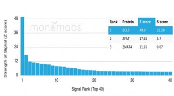 Analysis of a HuProt(TM) microarray containing more than 19,000 full-length human proteins using BCL