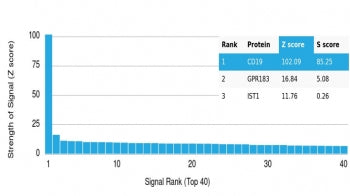 Analysis of HuProt(TM) microarray containing more than 19,000 full-length human proteins using recom