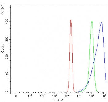 Flow cytometry testing of fixed and permeabilized human U-2 OS cells with Osteomodulin antibody at 1