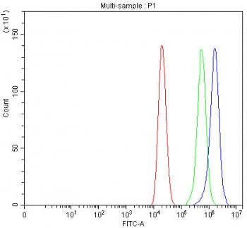 Flow cytometry testing of fixed and permeabilized human Caco-2 cells with IDI2 antibody at 1ug/milli