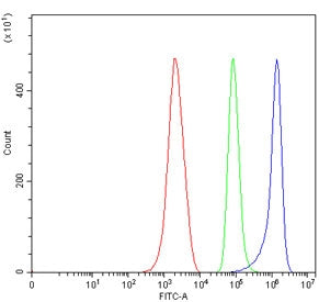 CD137L Antibody / 4-1BBL / TNFSF9