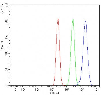 Sorting nexin 9 Antibody / SNX9 / SH3PX1