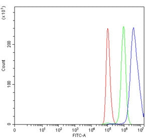 Flow cytometry testing of human A549 cells with Embryonic ectoderm development protein antibody at 1