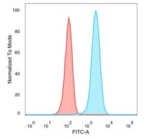 FACS staining of PFA-fixed human MCF-7 cells with Lactoferrin antibody (blue, clone LTF/4079) and isotype control (red).